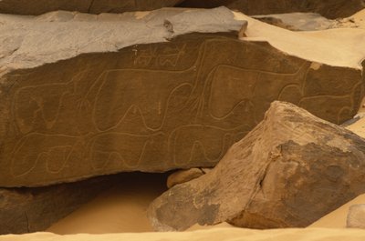 Animals (rock carving) by Prehistoric